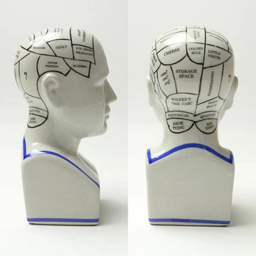 The Phrenology - M